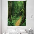 thumbnail image 1 of Tropical Decor Wall Hanging Tapestry, Tropical Jungle Forest with Trees Pathway Foliage Wilderness Nature Landscape Picture, Bedroom Living Room Dorm Accessories, 60 X 80 Inches, by Ambesonne, 1 of 1