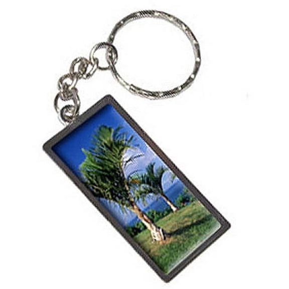 Tropical Deserted Island Palm Trees Keychain Key Chain Ring