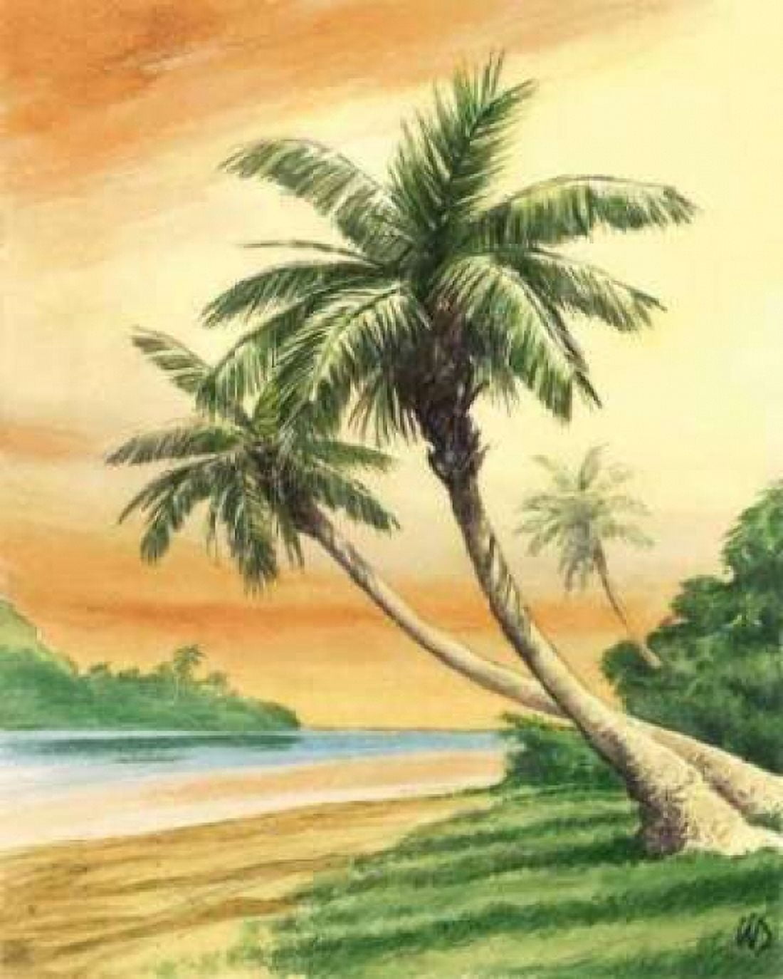 Tropical Dream I Canvas Art - William Duke (20 x 24)
