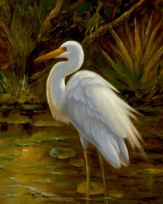 Tropical Egret II Canvas Art - Kilian (24 x 30)