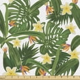 thumbnail image 1 of Ambesonne Tropical Fabric by the Yard Upholstery, Strelitzia Monstera Palm, 5 Yards, White Olive Green, 1 of 5
