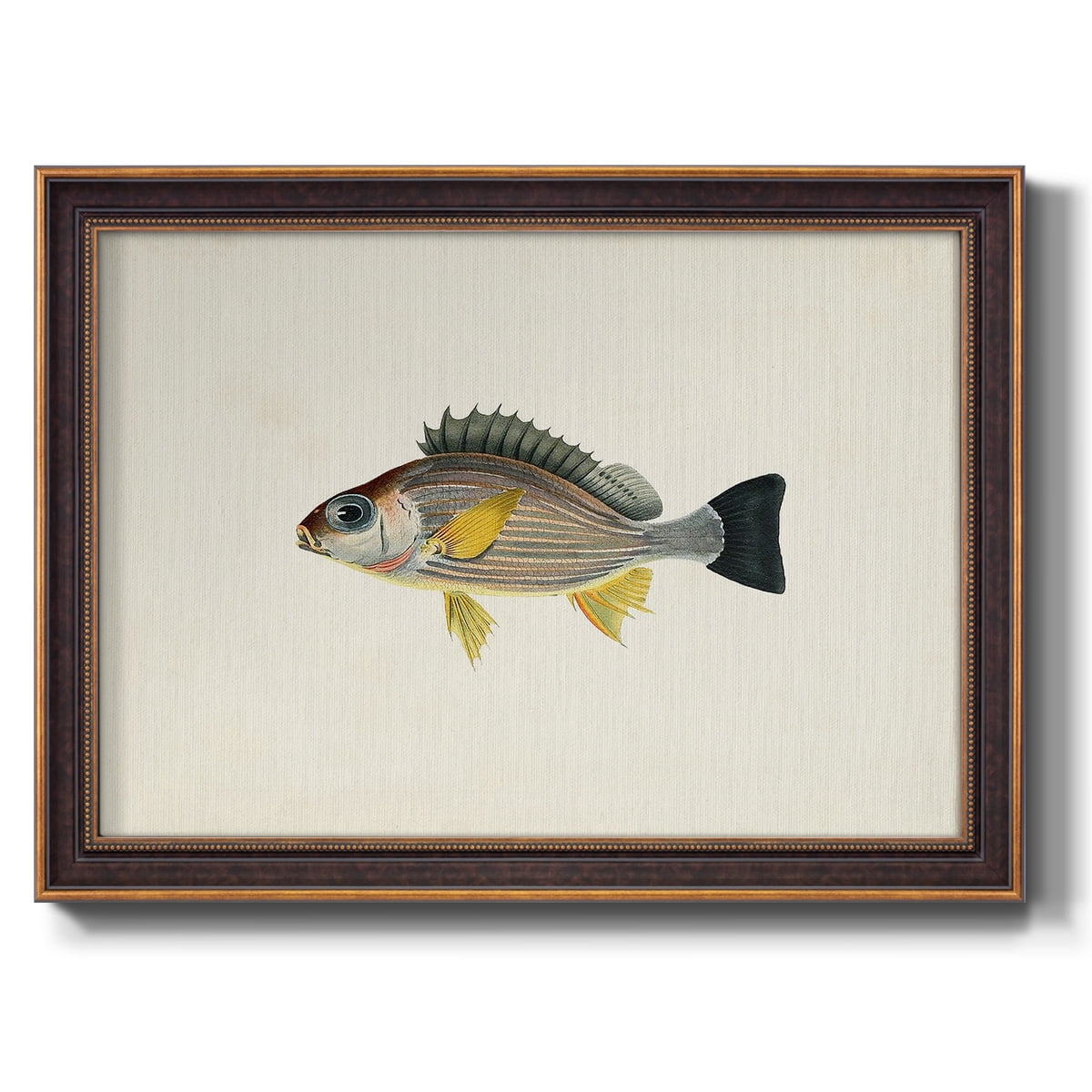 Tropical Fish Collection III Premium Framed Canvas- Ready to Hang