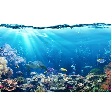 Tropical Fish Ocean Reef Nature Sea Turtle Pictures Turtle Poster Aquatic Pictures Sea Prints Wall Art Turtle Shell Art Turtle Pictures Wall Art Wall Turtle Cool Wall Art Print Poster 18x12