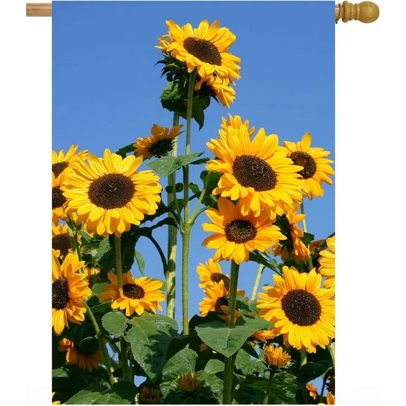 Tropical Floral Sunflowers Flowers Blue Sky Spring Summer Plants Field House Flag 28 x 40 Inch, Double Sided Large Garden Yard Welcome Flags Banners for Home Lawn Patio Outdoor Decor