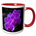 thumbnail image 1 of 3drose, Tropical Flower in Hawaii Botanical Garden, Big Isl, Hawaii, Orchid, 11oz Two-tone Red Mug, 1 of 6