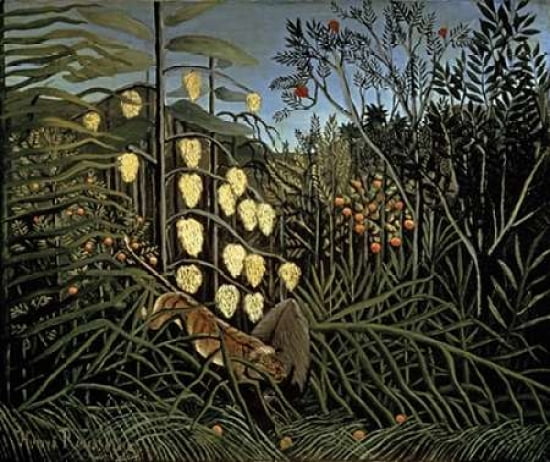 Tropical Forest Battling Tiger and Bull Canvas Art - Henri Rousseau (20 x 24)
