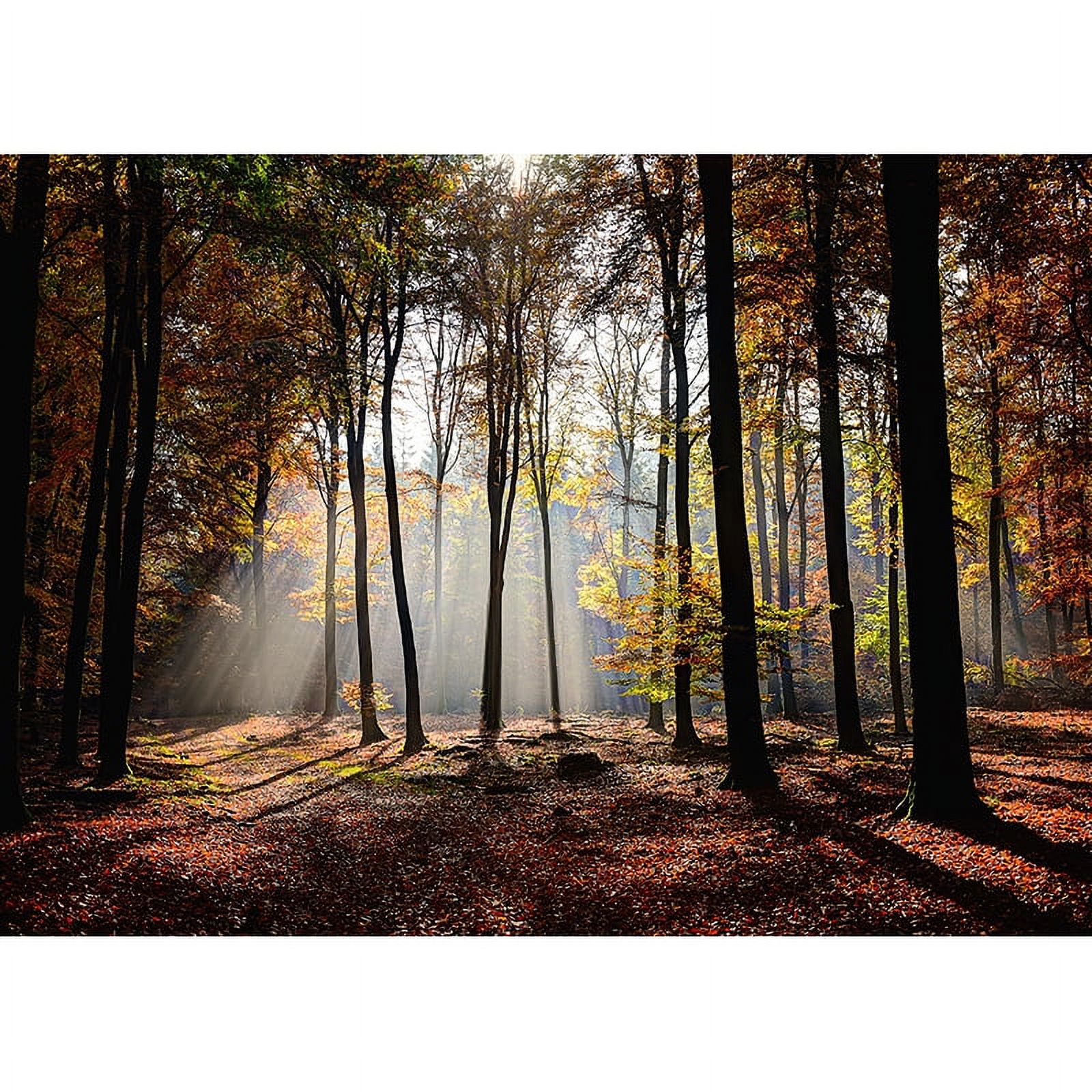 Tropical Forest Green Trees Plants Leaves Vinyl Photography Backdrops ...