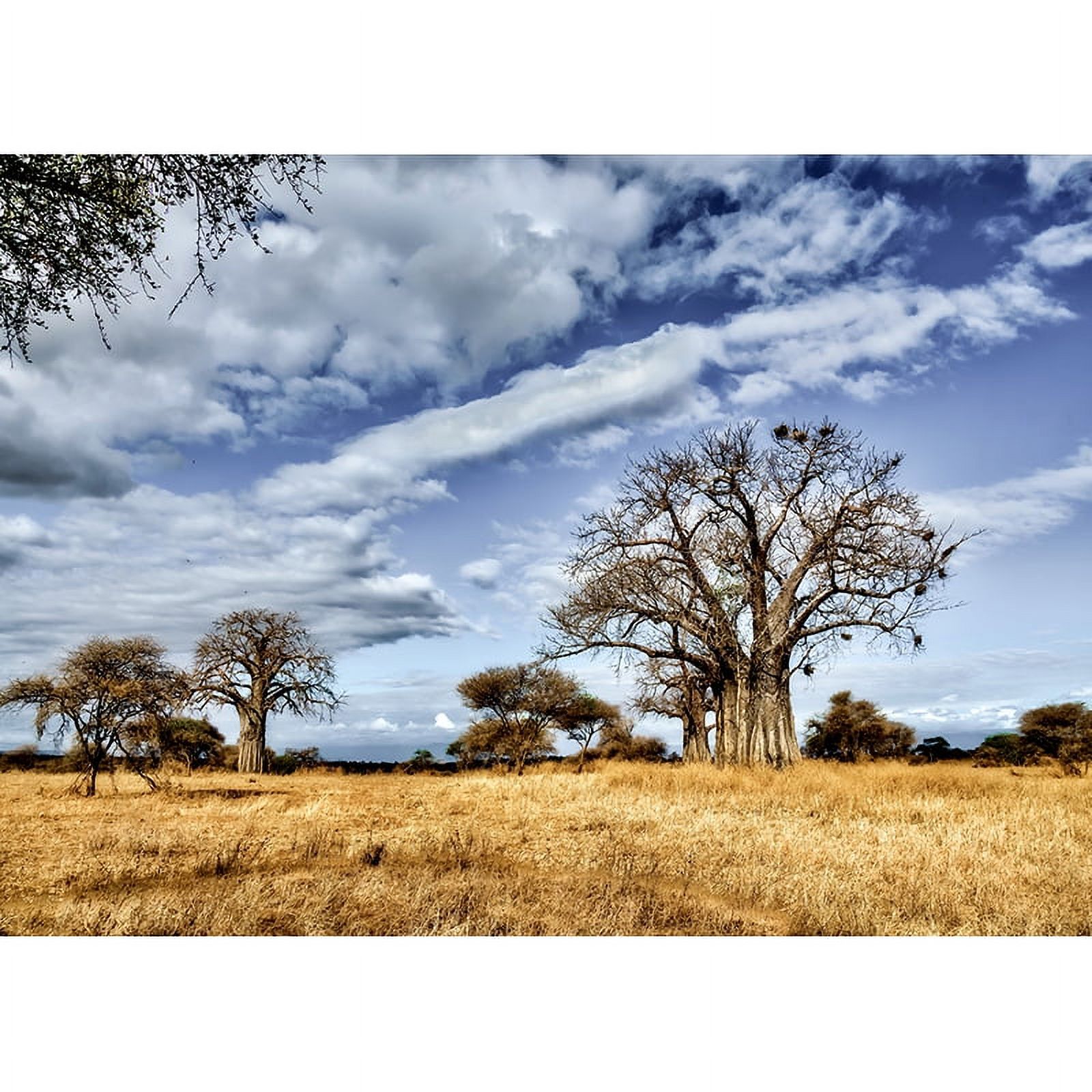 Tropical Forest Green Trees Plants Leaves Vinyl Photography Backdrops ...