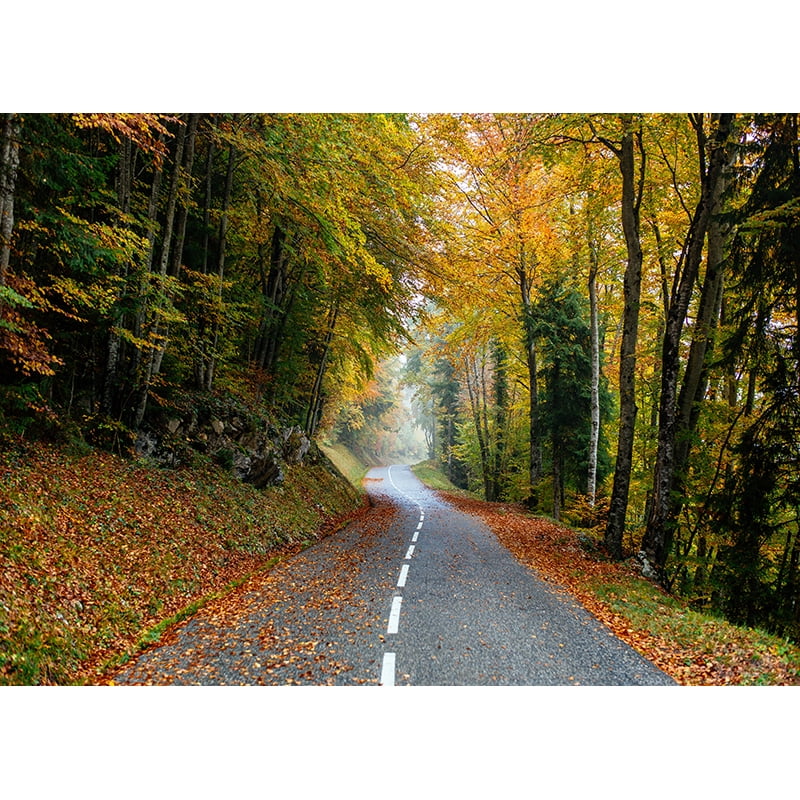 Tropical Forest Green Trees Plants Leaves Vinyl Photography Backdrops ...