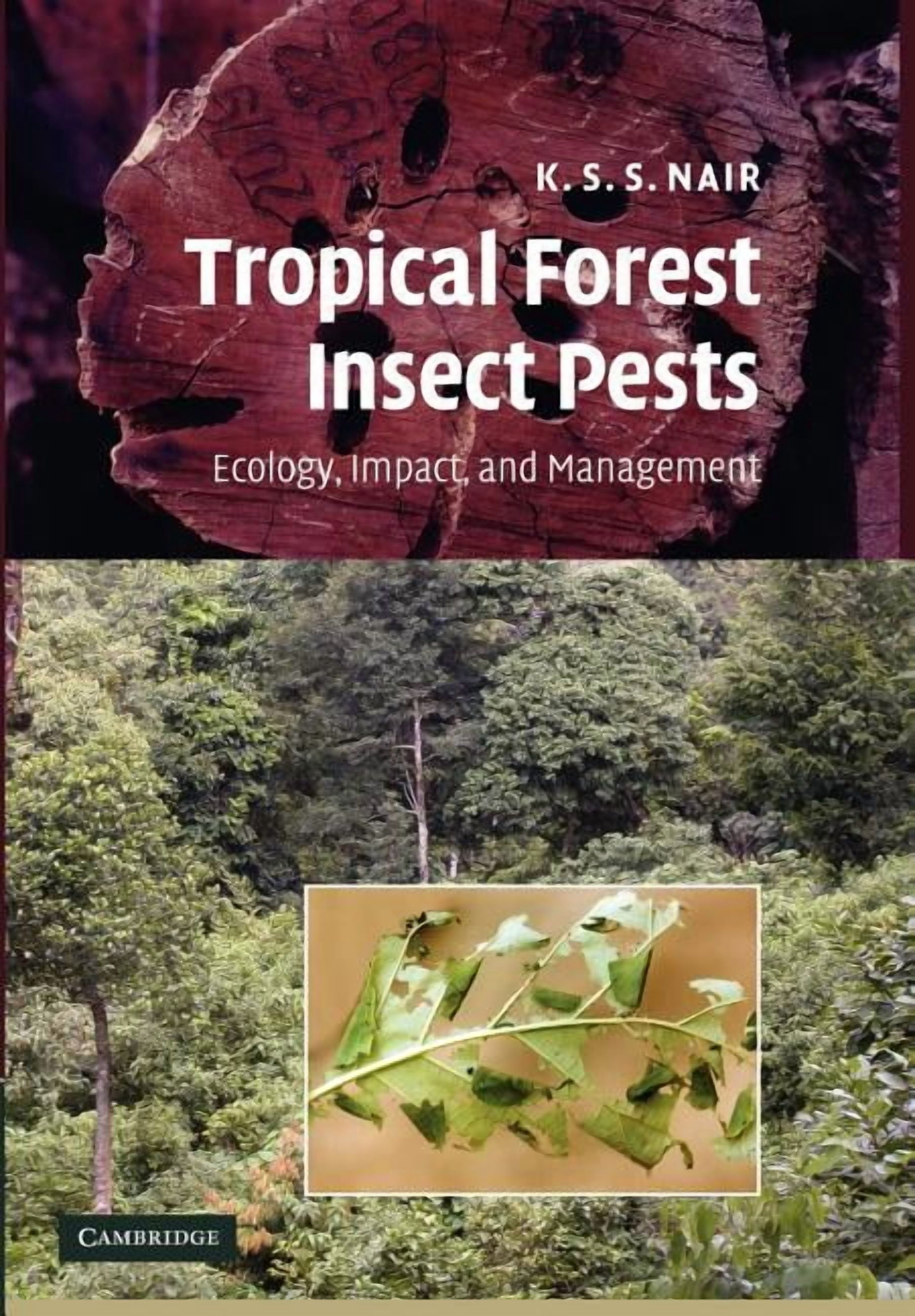 Tropical Forest Insect Pests: Ecology, Impact, and Management ...