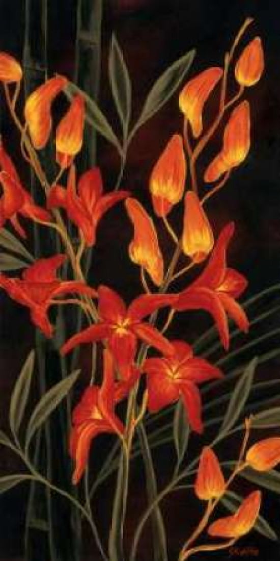 Tropical Glow Canvas Art - Yvette St Amant (24 x 48)