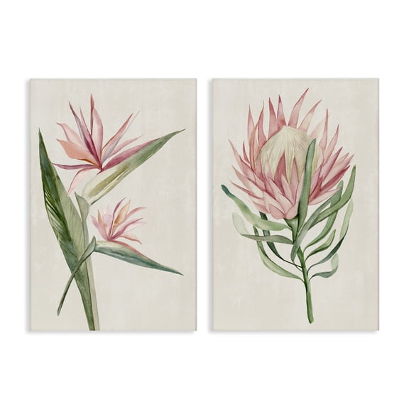 Stupell Industries Tropical Grace Botanicals 2 Piece Canvas Wall Art Set, design by Hannah Dawson, 30 x 20