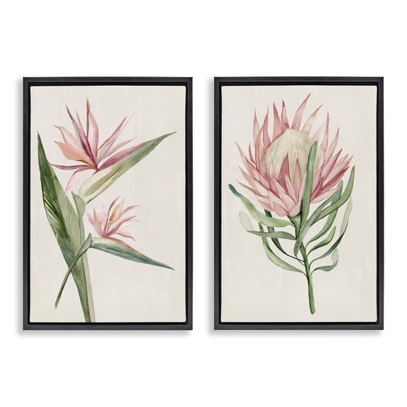 Stupell Industries Tropical Grace Botanicals 2 Piece Black Framed Floater Canvas Set, design by Hannah Dawson, 25 x 17