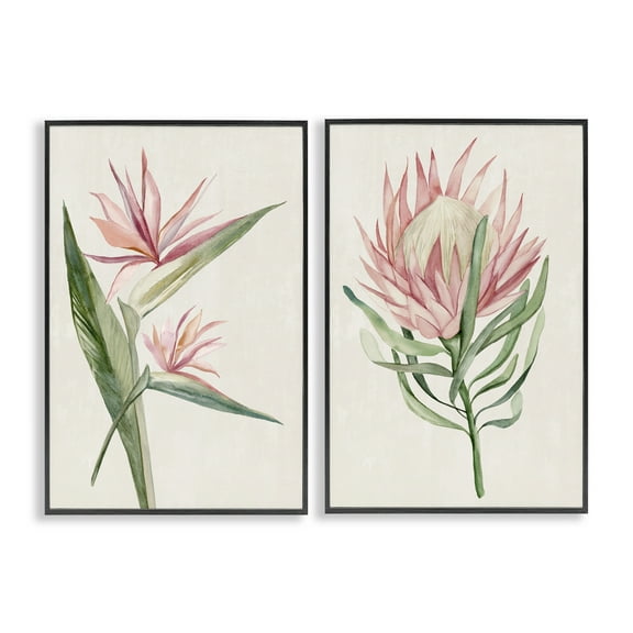Stupell Industries Tropical Grace Botanicals 2 Piece Black Framed Giclee Art Set, design by Hannah Dawson, 18 x 12