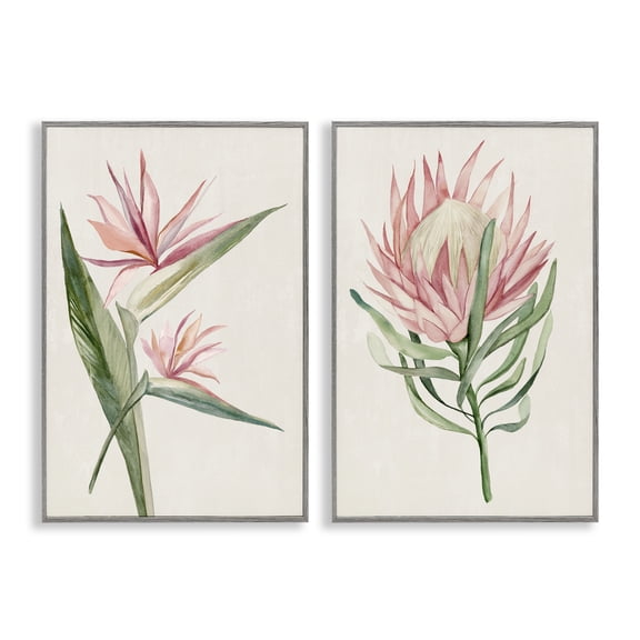 Stupell Industries Tropical Grace Botanicals 2 Piece Gray Framed Giclee Art Set, design by Hannah Dawson, 24 x 16