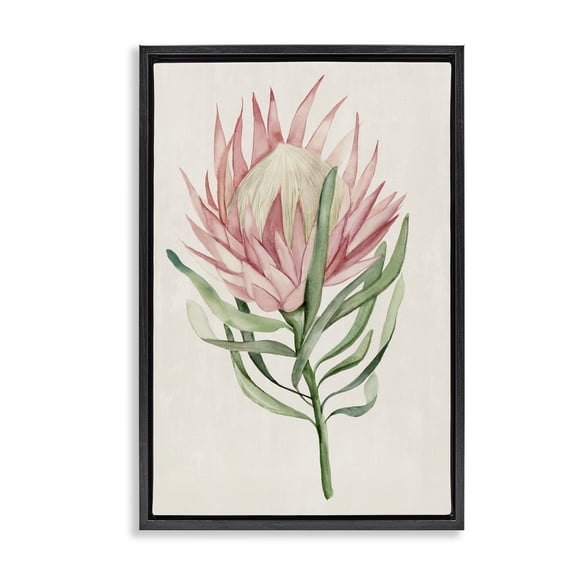 Stupell Industries Tropical Grace Exotic Flower Black Framed Floater Canvas Wall Art, design by Hannah Dawson, 25 x 17
