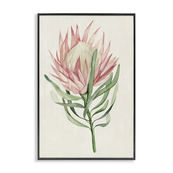 Stupell Industries Tropical Grace Exotic Flower Black Framed Giclee Art, design by Hannah Dawson, 18 x 12