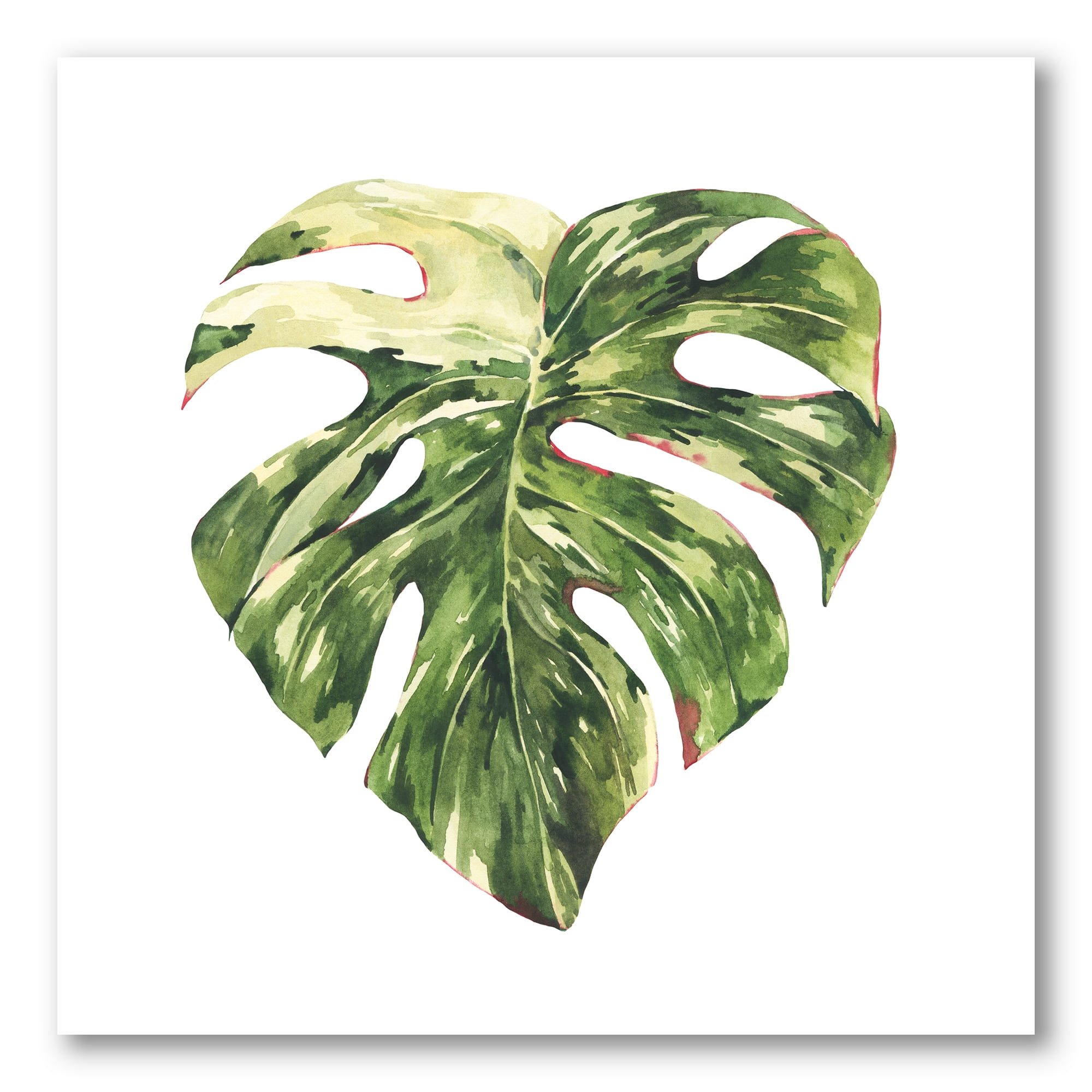 Tropical Green Leaves on White Canvas Art Print, 30 x 30 Inches