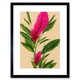 thumbnail image 1 of Tropical Hawaiian Botanical Exotic Pink Floral illustration Artwork Framed Wall Art Print 9X7 Inch, 1 of 5