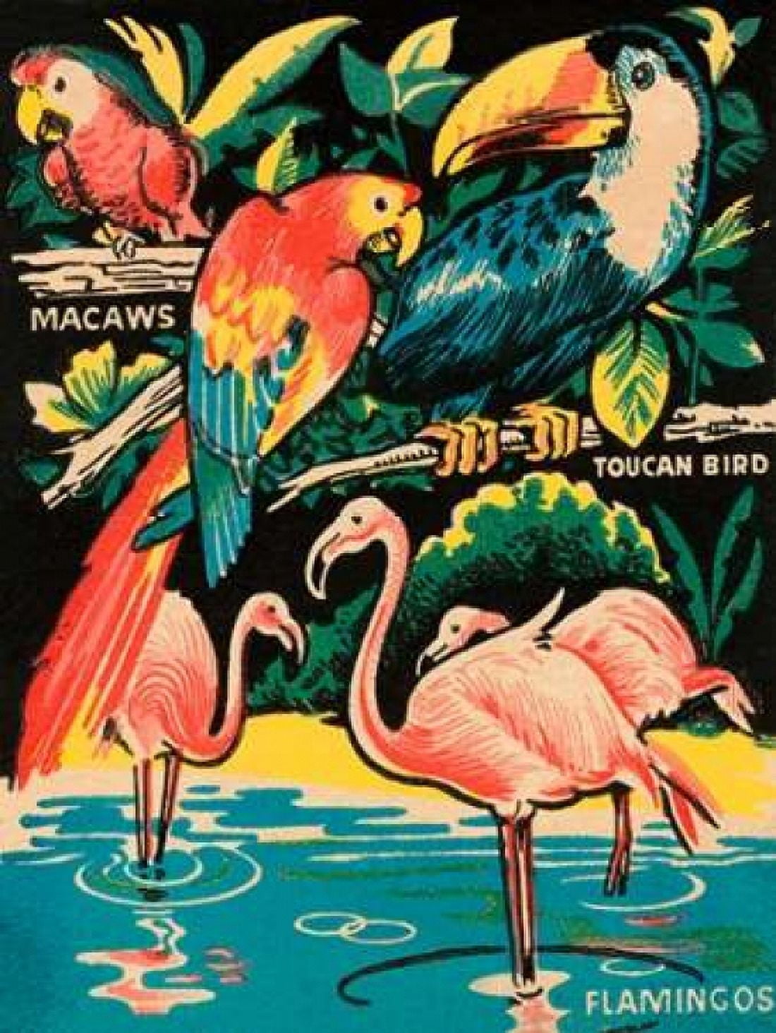 Tropical Hobbyland - Birds Canvas Art - Retrotravel (18 x 24)