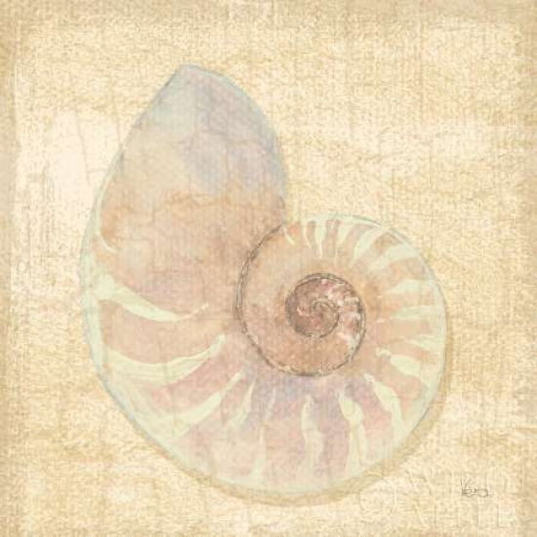 Tropical Island Shell I Canvas Art - Veronique Charron (24 x 24)