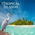 thumbnail image 1 of Tropical Islands | 2026 7x14" (Hanging) Monthly Mini Wall Calendar | BrownTrout, 1 of 9