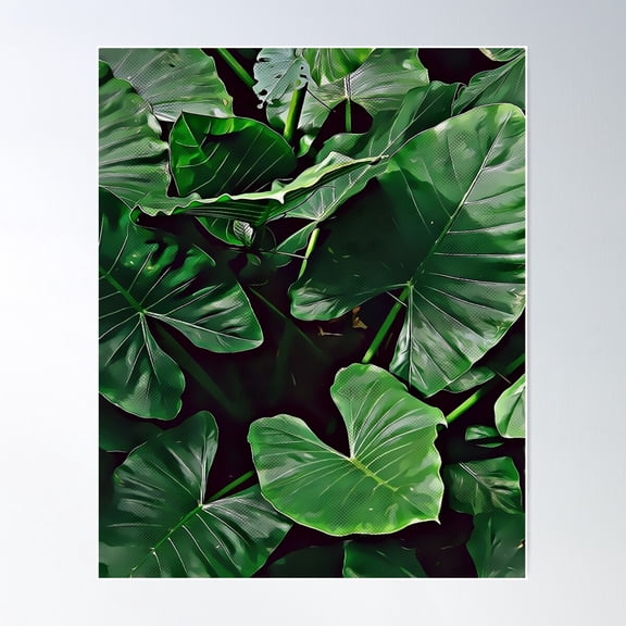 Tropical Jungle Plant With Big Green Leaves Poster Wall Art, Modern Wall Decor For Living Room Bedroom, 8x12 UNFRAMED