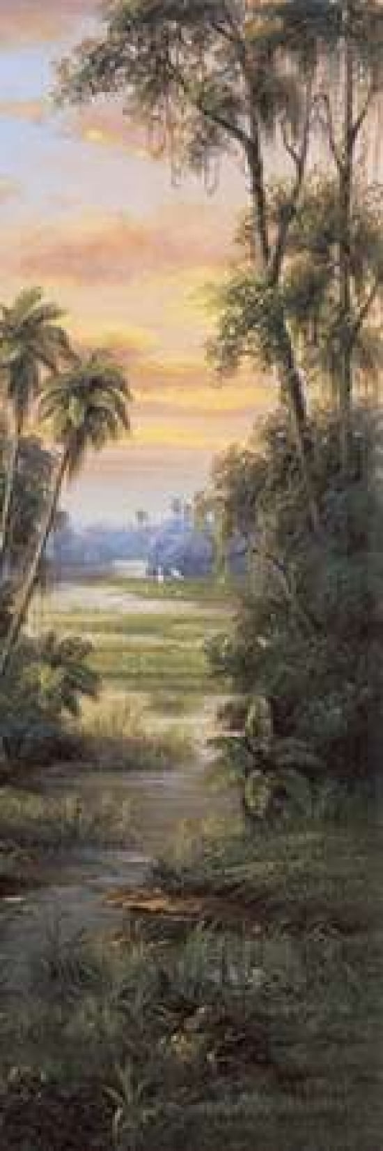 Tropical Lagoon I Canvas Art - Montoya (12 x 36)