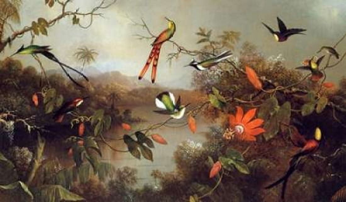 Tropical Landscape With Ten Hummingbirds Canvas Art - Martin Johnson Heade (24 x 36)