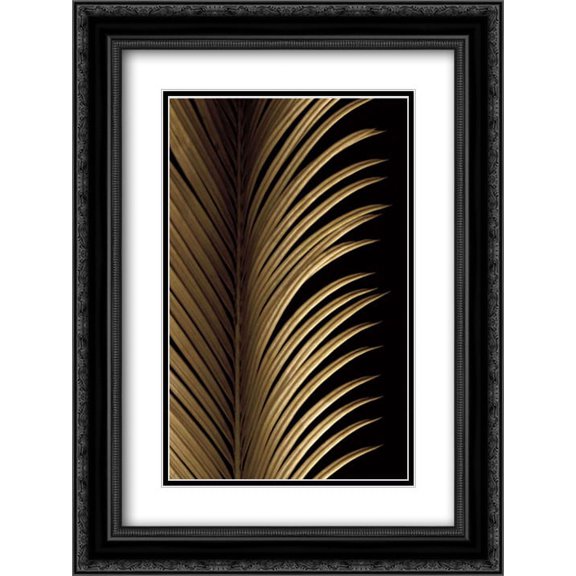 Tropical Leaf Study I 2x Matted 18x24 Black Ornate Framed Art Print by Levine, Andrew