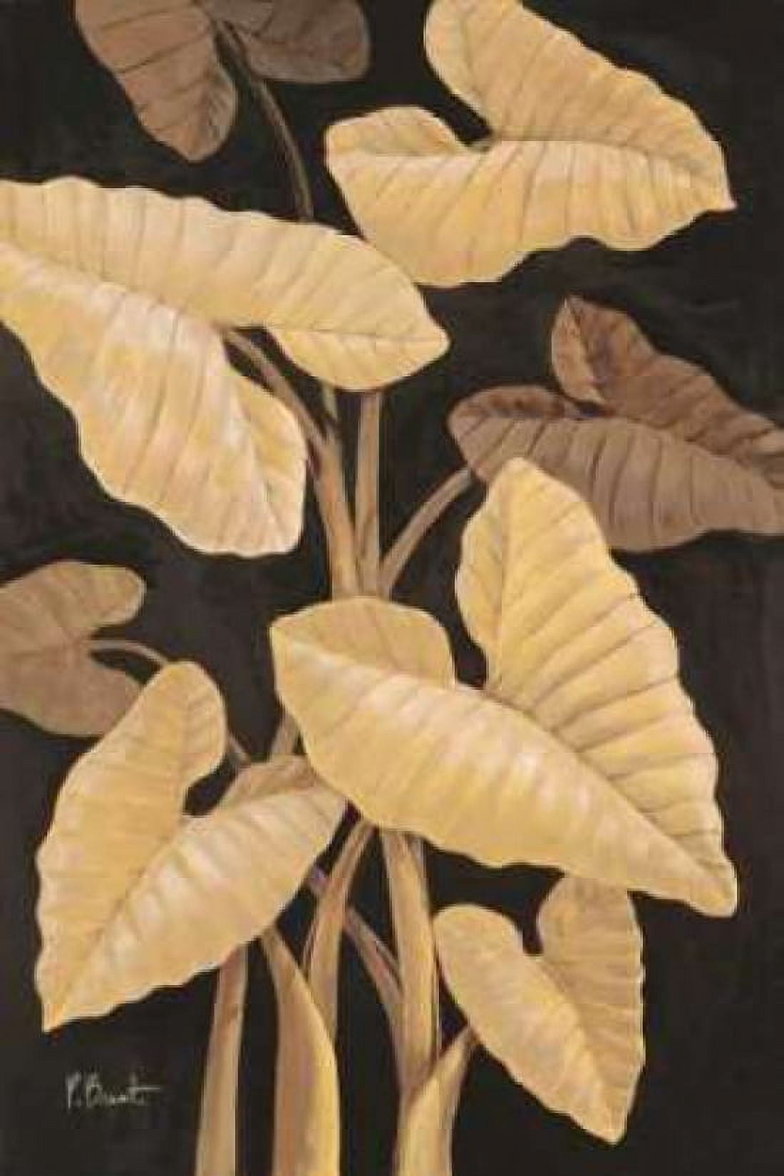 Tropical Leaves Canvas Art - Paul Brent (12 x 18)
