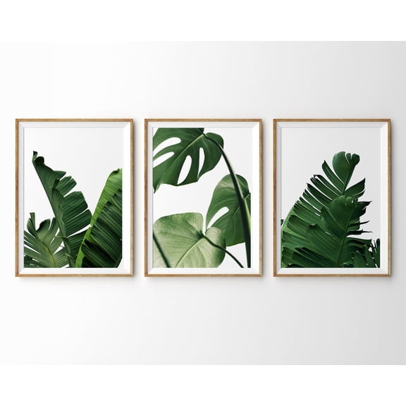 Tropical Leaves Wall Art Botanical Print Monstera Banana Leaf Decor Set 3 Unframed Paper Print 8x12