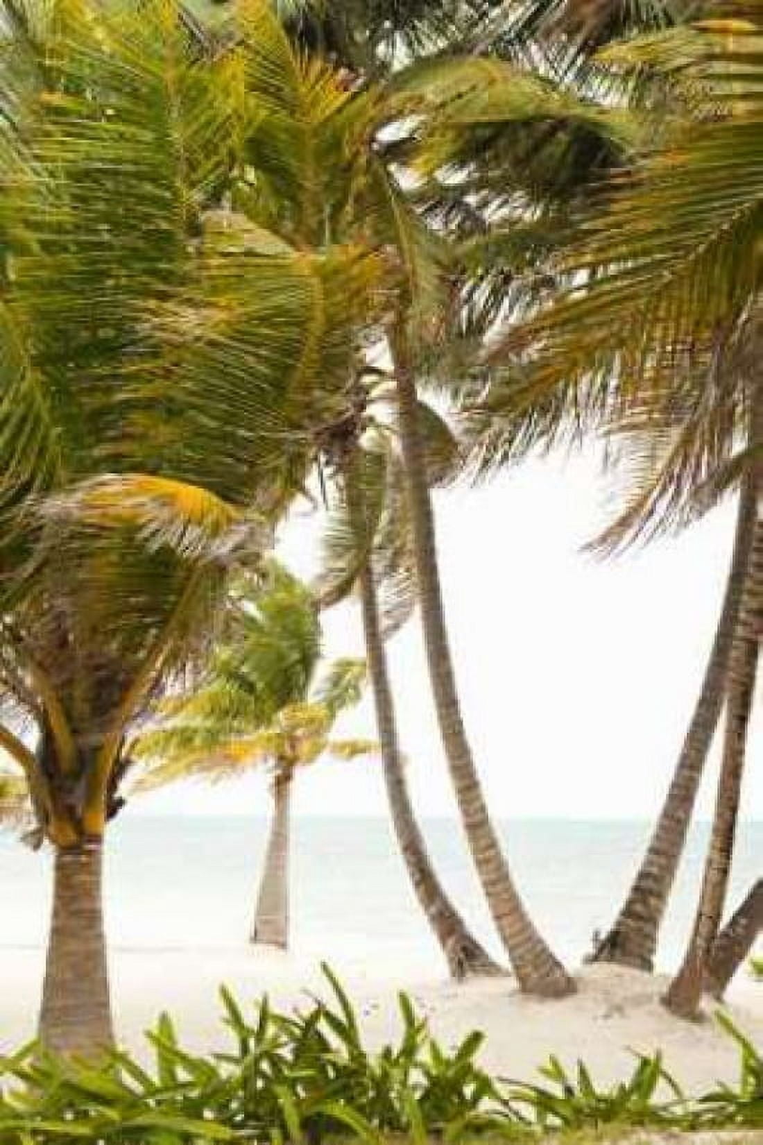 Tropical Oasis II Canvas Art - Karyn Millet (24 x 36)