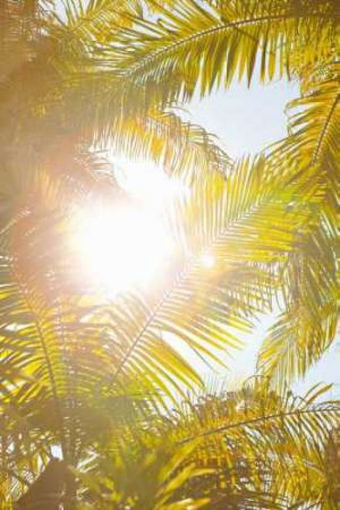 Tropical Oasis II Canvas Art - Karyn Millet (24 x 36)
