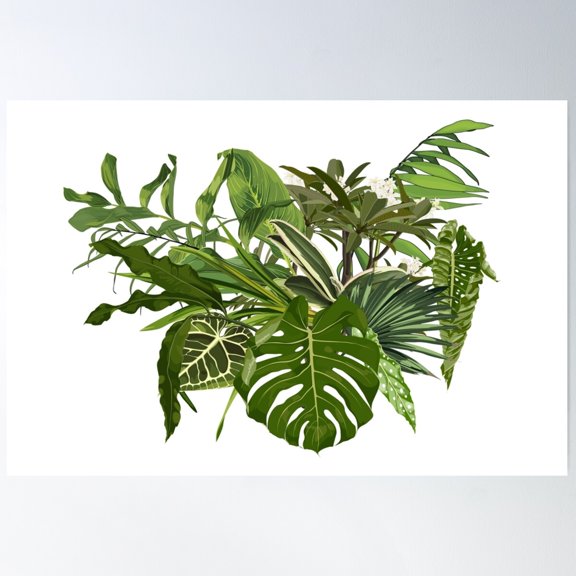 Tropical Palm Bananas Tree And Exotic Leaves Composition Poster Wall Art, Modern Wall Decor For Living Room Bedroom, 8x12 UNFRAMED