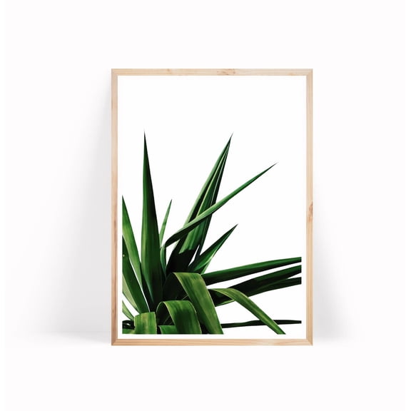 Tropical Palm Leaf Poster, Palm Leaf Poster, Botanical Art, Palm Poster, Palm Tree Art, Tropical Art Poster, Palm Leaf Wall Art, Stretched Canvas Size 12x18