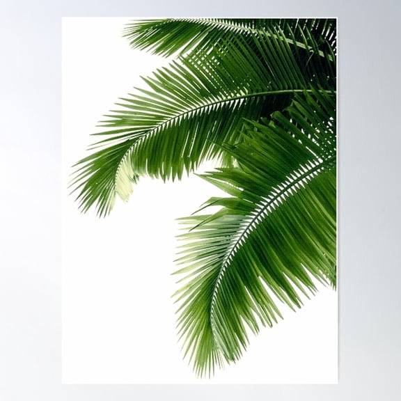 Tropical Palm Leaves Poster Wall Art, Modern Wall Decor For Living Room Bedroom, 12x18 UNFRAMED
