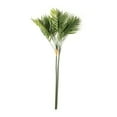 thumbnail image 1 of Tropical Palm Stem by Ashland, 1 of 2