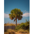 thumbnail image 1 of Tropical Palm Tree Coastal Landscape Canvas Print Wall Art for Living Room Bedroom Beach, 1 of 8