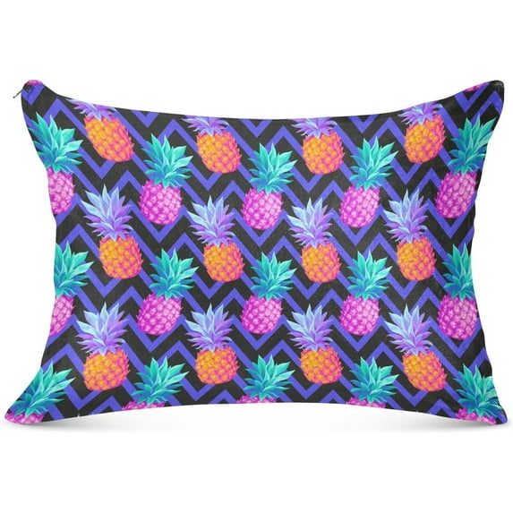 Tropical Pineapple Plush Pillowcase, Luxury Soft King Pillow Case for Hair and Skin, Standard Size Pillow Covers with Zipper Closure, 20x30in #919 Home Decor Gifts