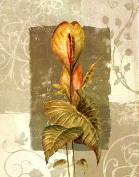 Tropical Radiance I Canvas Art - Steve Butler (22 x 28)