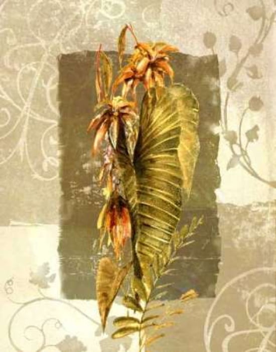 Tropical Radiance II Canvas Art - Steve Butler (22 x 28)