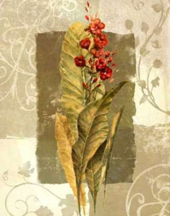 Tropical Radiance III Canvas Art - Steve Butler (22 x 28)