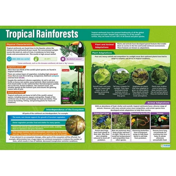 Tropical Rainforests | Geography Posters  Geography Classroom Posters | Education Charts Unframed12x18inch(30x45cm)