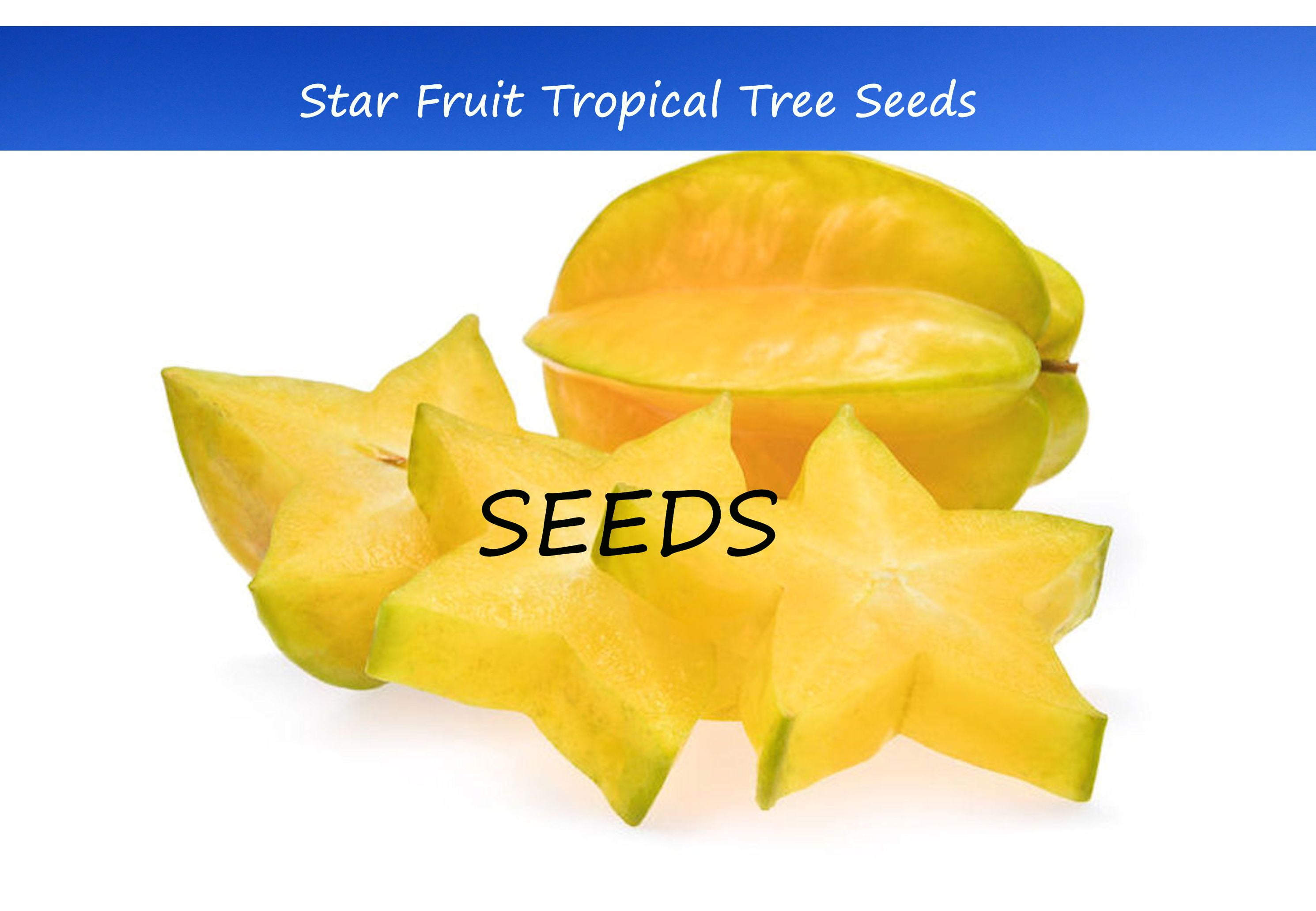 Tropical Seeds Starfruit Tree 10 Heirloom Seeds See Listing AVERRHOA tropical-seeds-starfruit-tree-10-heirloom-seeds-see-listing-averrhoa