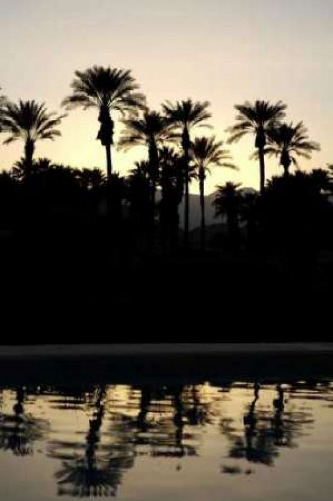 Tropical Silhouette II Canvas Art - Karyn Millet (24 x 36)