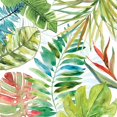 thumbnail image 1 of Tropical Sketchbook II Poster Print by Carol Robinson, 1 of 1