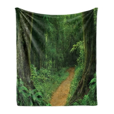 Tropical Soft Flannel Fleece Blanket, Tropical Jungle Forest Trees Pathway Foliage Wilderness Nature Landscape Picture, Cozy Plush for Indoor and Outdoor Use, 50" x 70", Green Brown, by Ambesonne