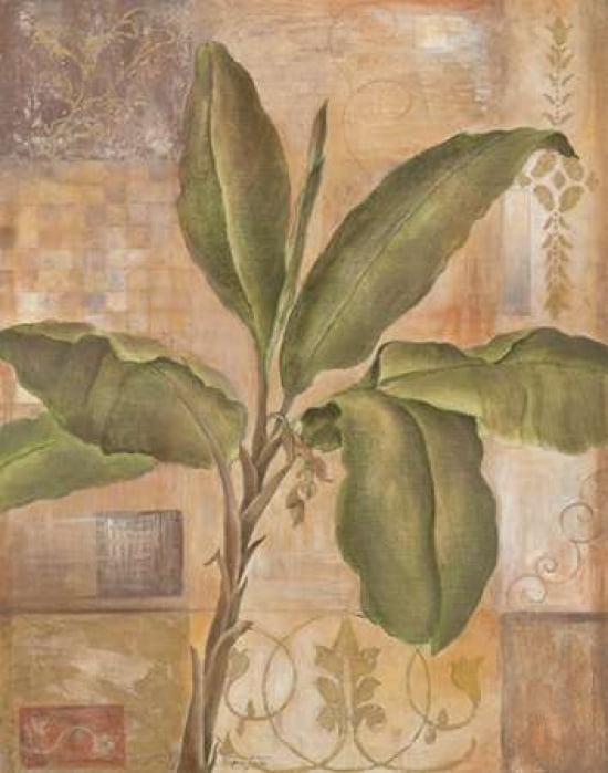 Tropical Spirit I Canvas Art - Tava Studios (22 x 28)