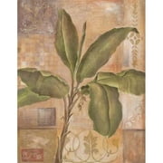 Tropical Spirit I Poster Print by Tava Studios, 22 x 28 - Large